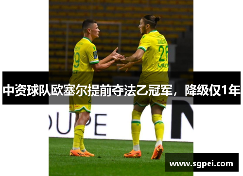 中资球队欧塞尔提前夺法乙冠军，降级仅1年