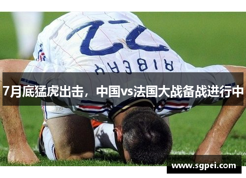 7月底猛虎出击，中国vs法国大战备战进行中